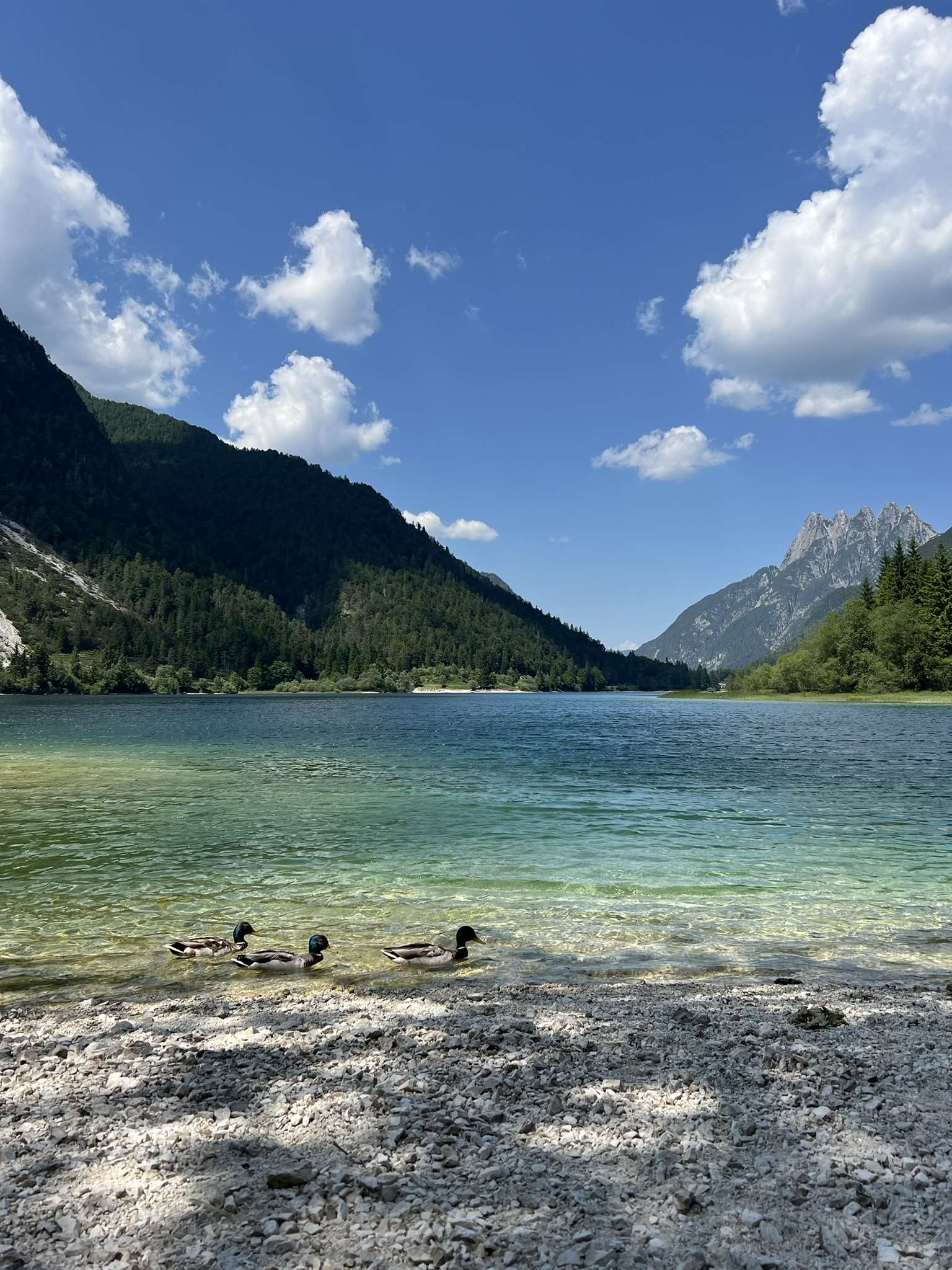 Lago del Predil near Sella Nevea is perfect for swimming